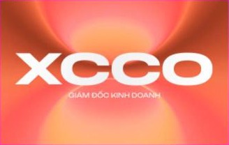 XCCO - GIÁM ĐỐC KINH DOANH