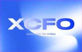 XCFO - GIÁM ĐỐC TÀI CHÍNH