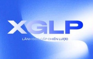 Lãnh đạo cấp chiến lược
